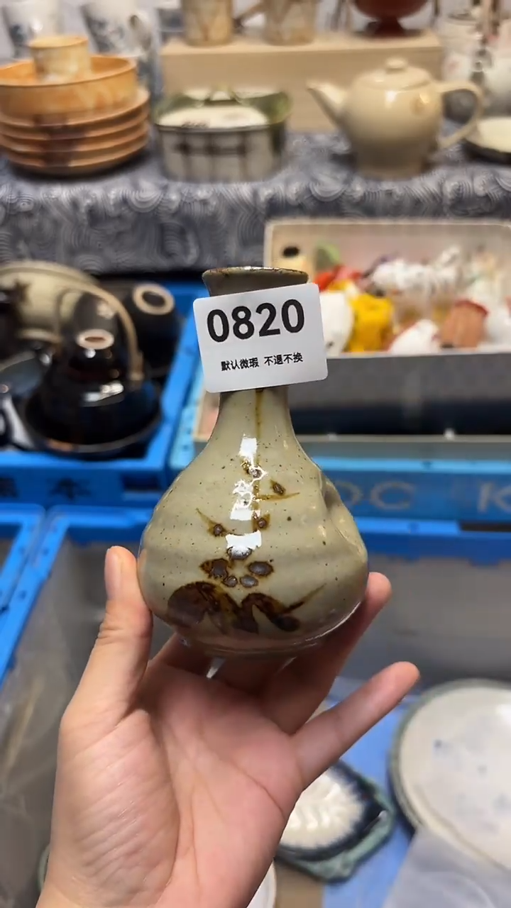 瓷片白*喵喵家都是大漂亮