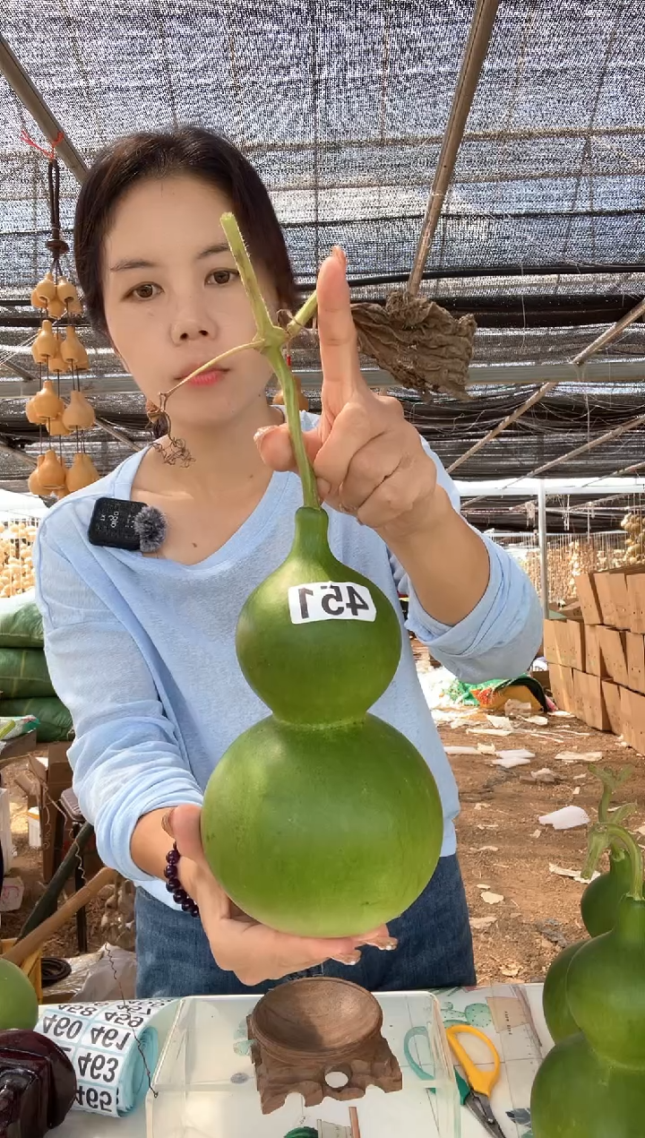 451天然葫芦摆件 一物一拍龙头不保售后