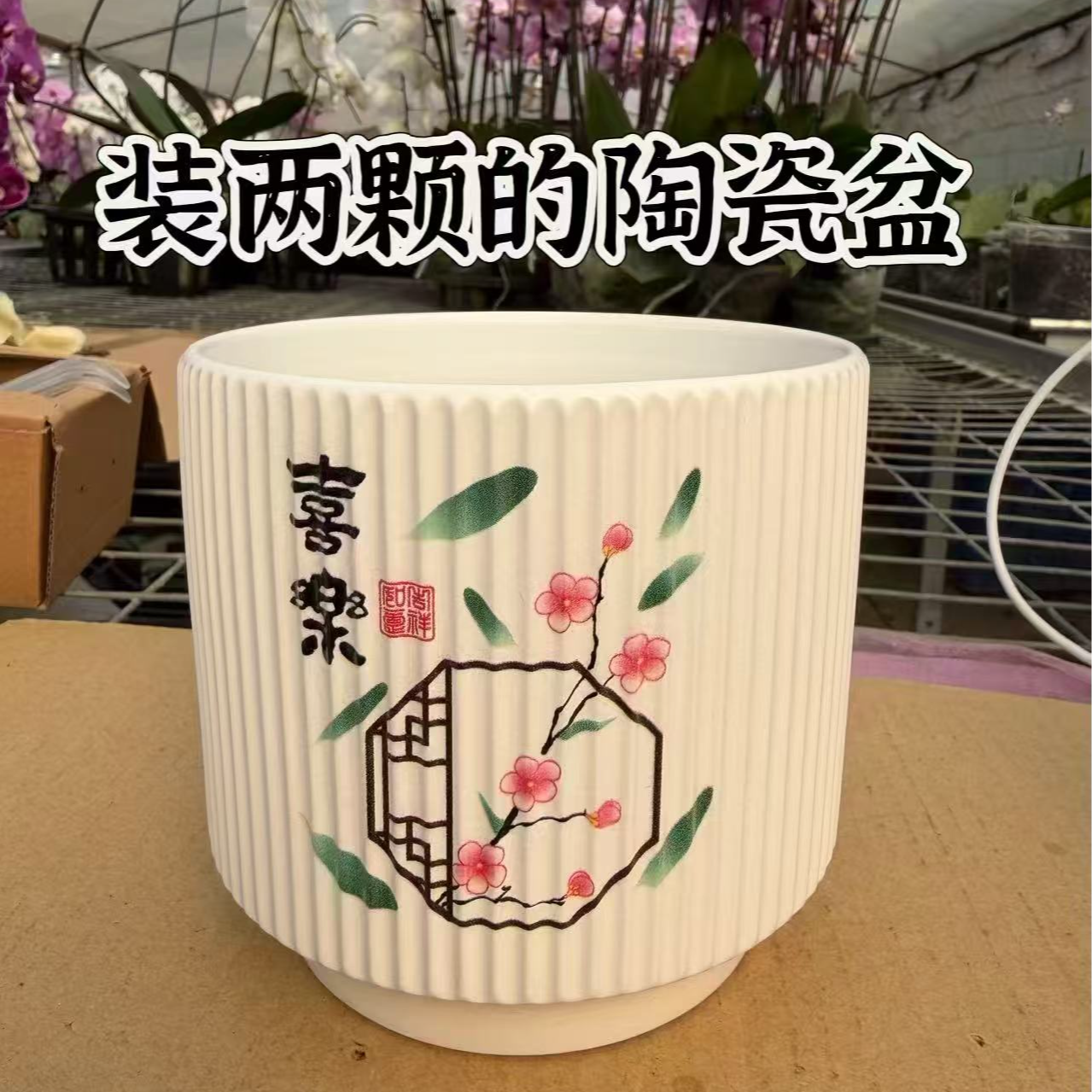 放2颗效果 蝴蝶兰精品陶瓷花盆