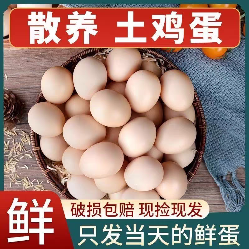 农家散养土鸡蛋新鲜营养生态喂养粉壳鸡蛋正宗柴鸡蛋笨鸡蛋深山蛋
