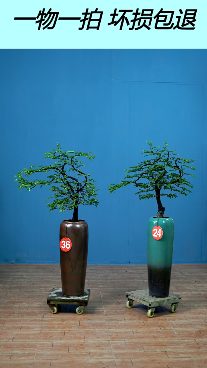 以实际为准潘****〕广东小叶紫檀