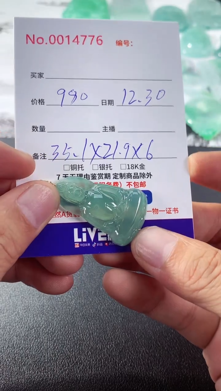 颈饰未镶嵌翡翠素衣