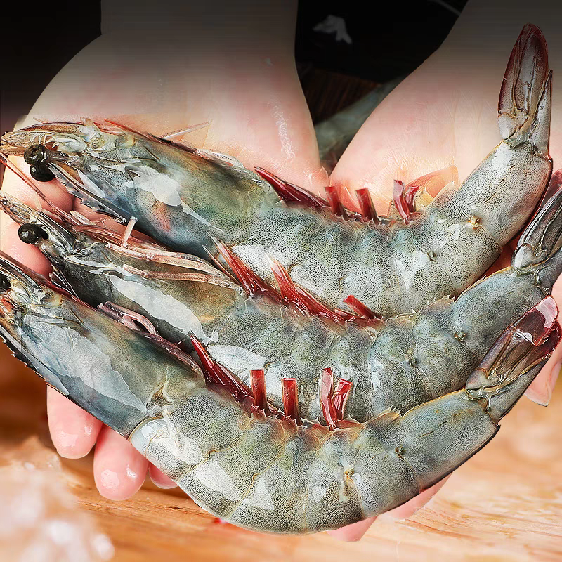 四斤2030特大号 新鲜大海虾 鲜活速冻 顺丰冷链发货0620