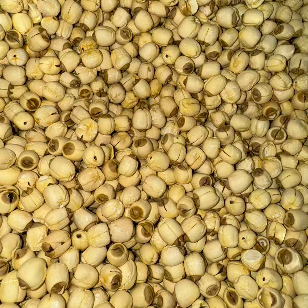 精选白莲干货 颗粒饱满 清香软糯