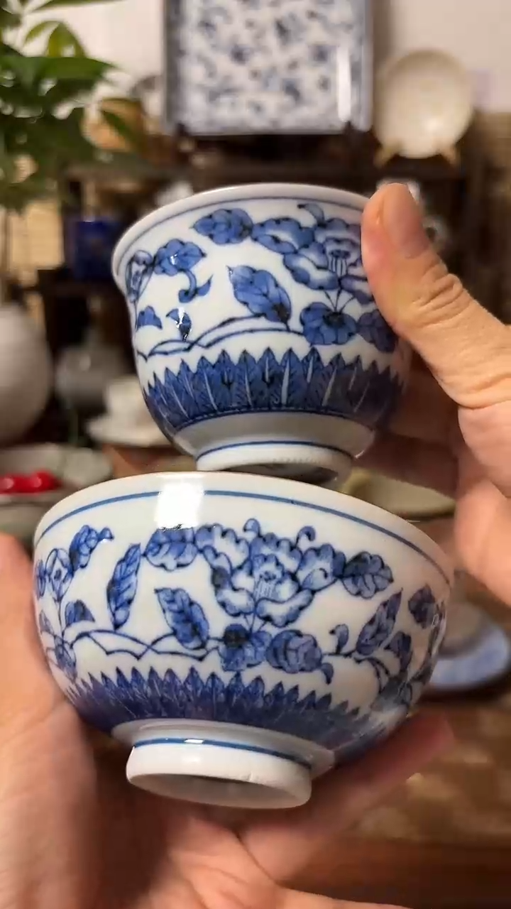 【闪购商品】瓷片喵喵家的都是大漂亮