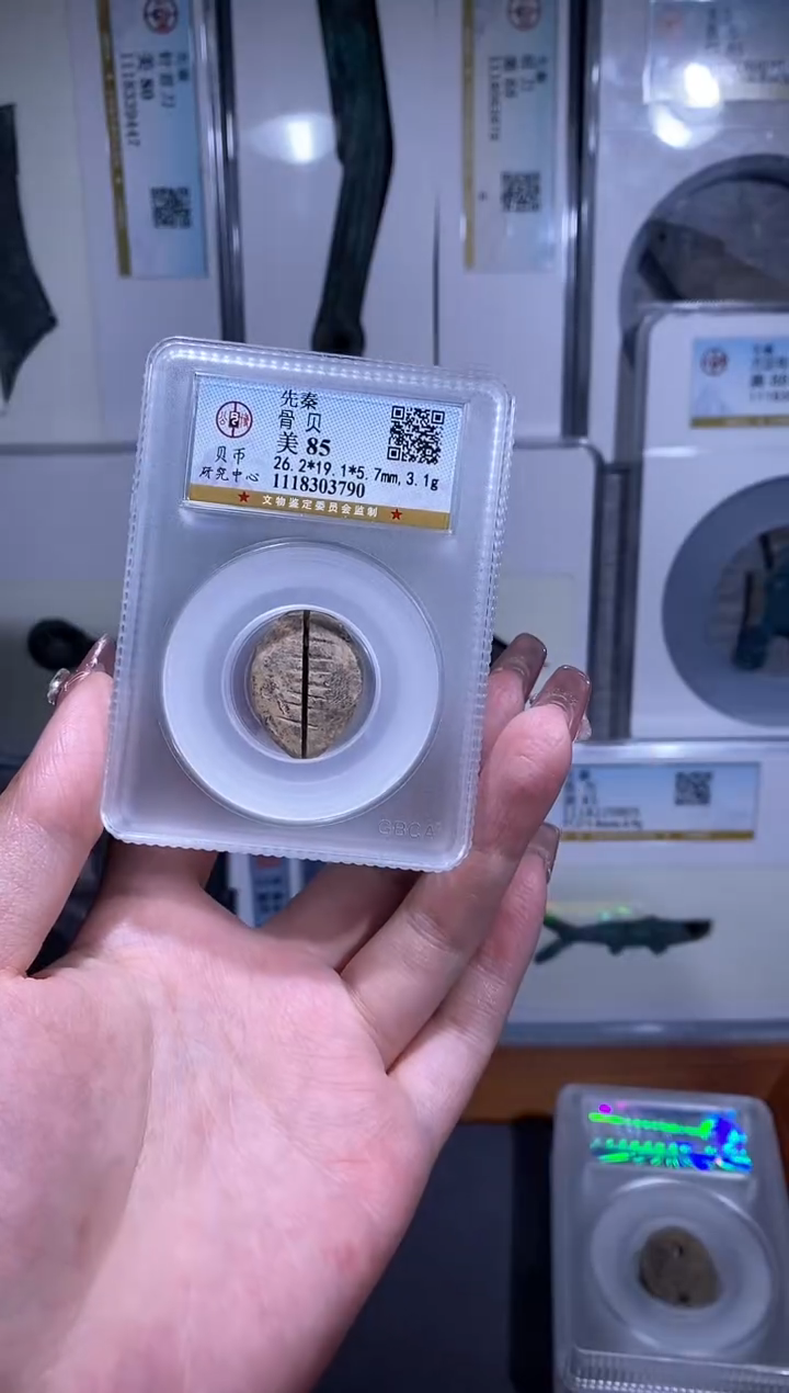 【闪购商品】铜品泉收藏     骨贝币一枚