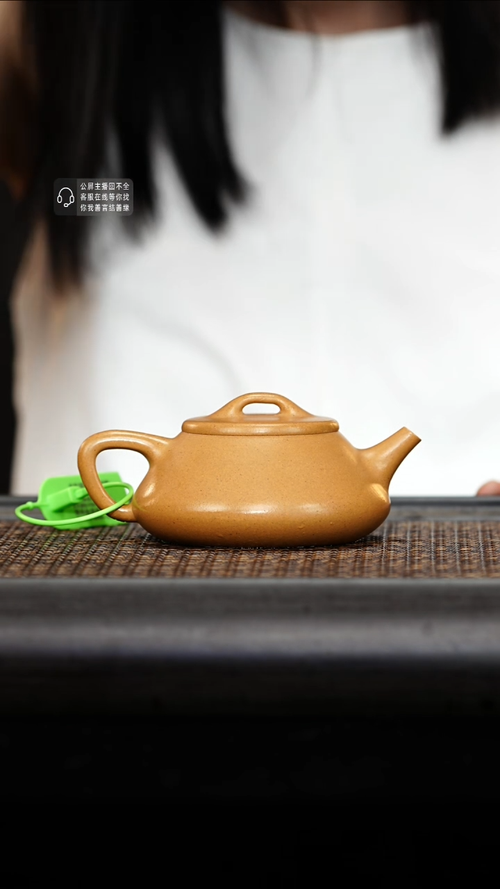 茶壶紫砂紫砂茶壶纳瓢