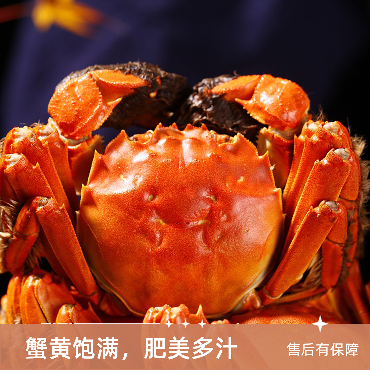 【活蟹】精挑大闸蟹公4.0-3.7两母3.0-2.7共10只装鲜活冷链包邮BJ