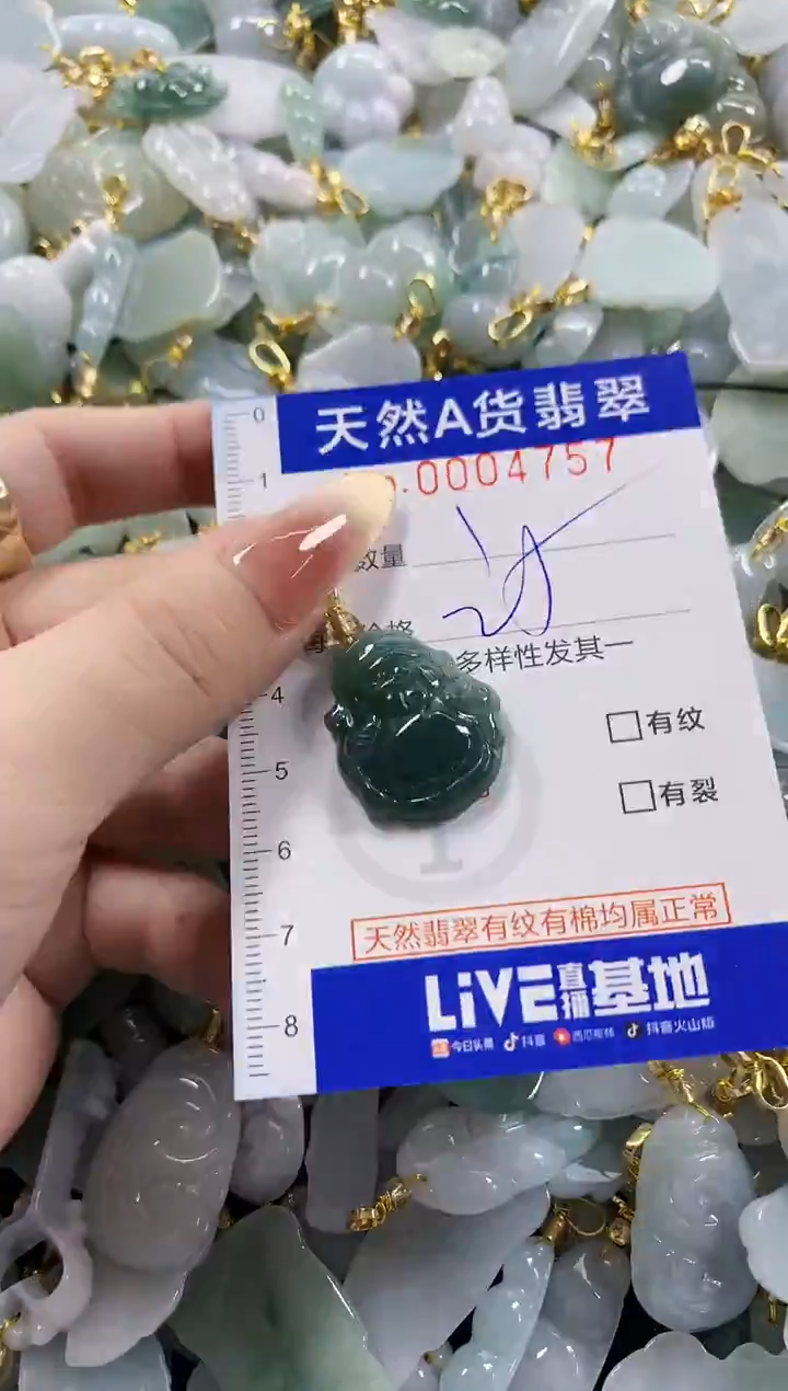 颈饰未镶嵌翡翠天然A货翡翠