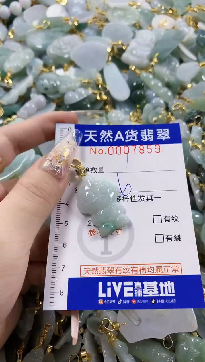 颈饰未镶嵌翡翠天然A货翡翠