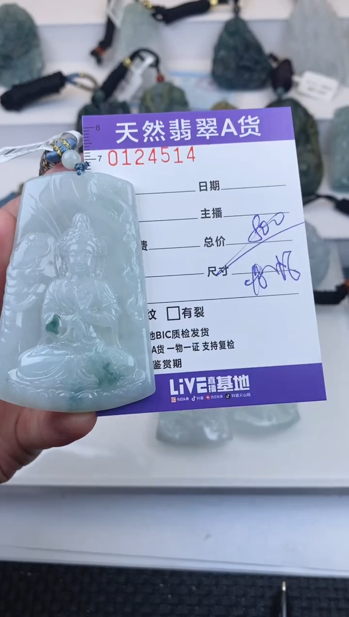 【闪购商品】翡翠颈饰未镶嵌          514