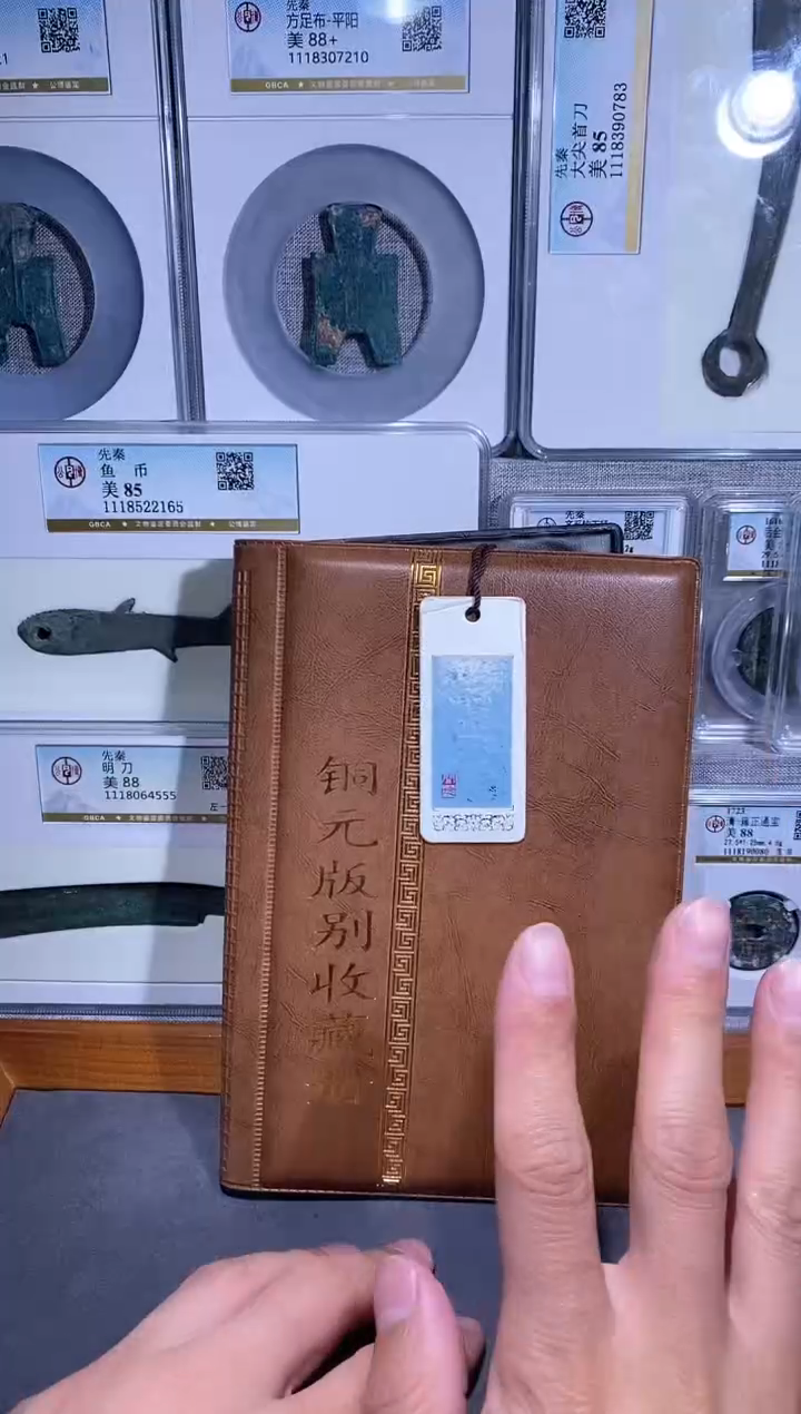 【闪购商品】金品泉  铜元版别册