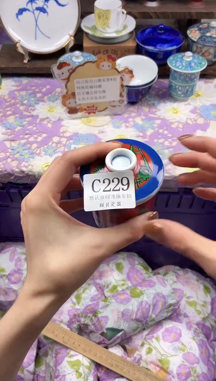 瓷片石*?                C229