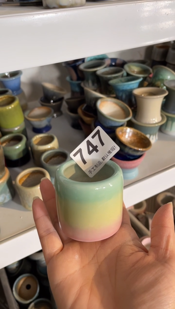瓷片糖****4747知木小芳花盆编号