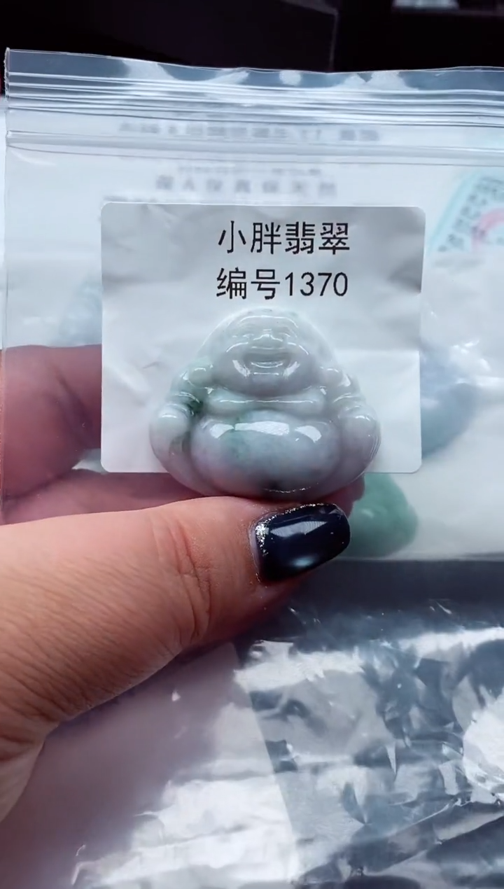 颈饰未镶嵌翡翠缅甸天然A货翡翠1370