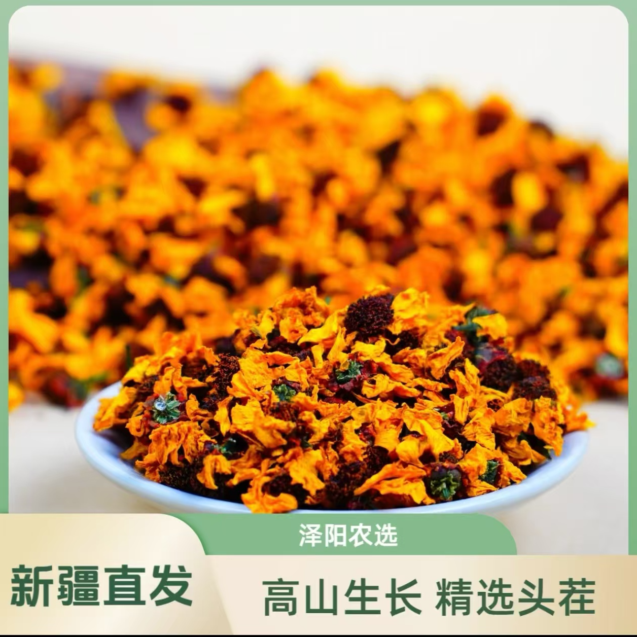 【泽阳农选】昆仑雪菊 纯手工采摘