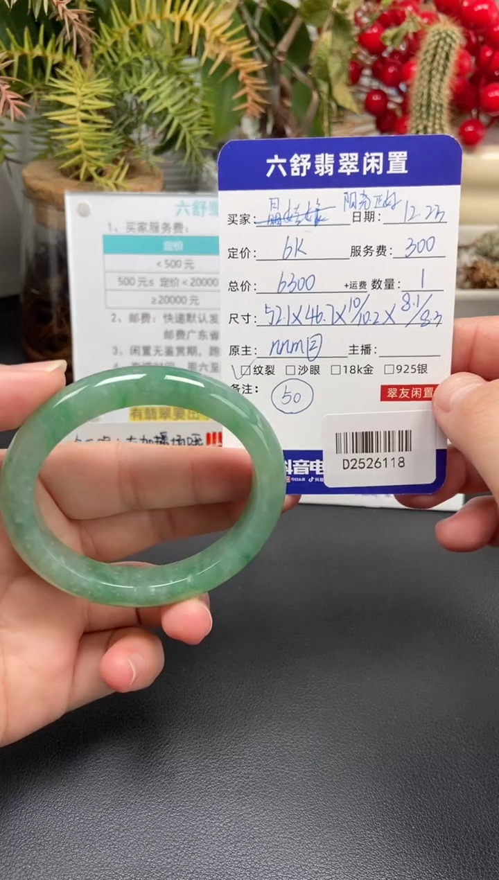 未镶嵌手镯翡翠阳**好D2526118