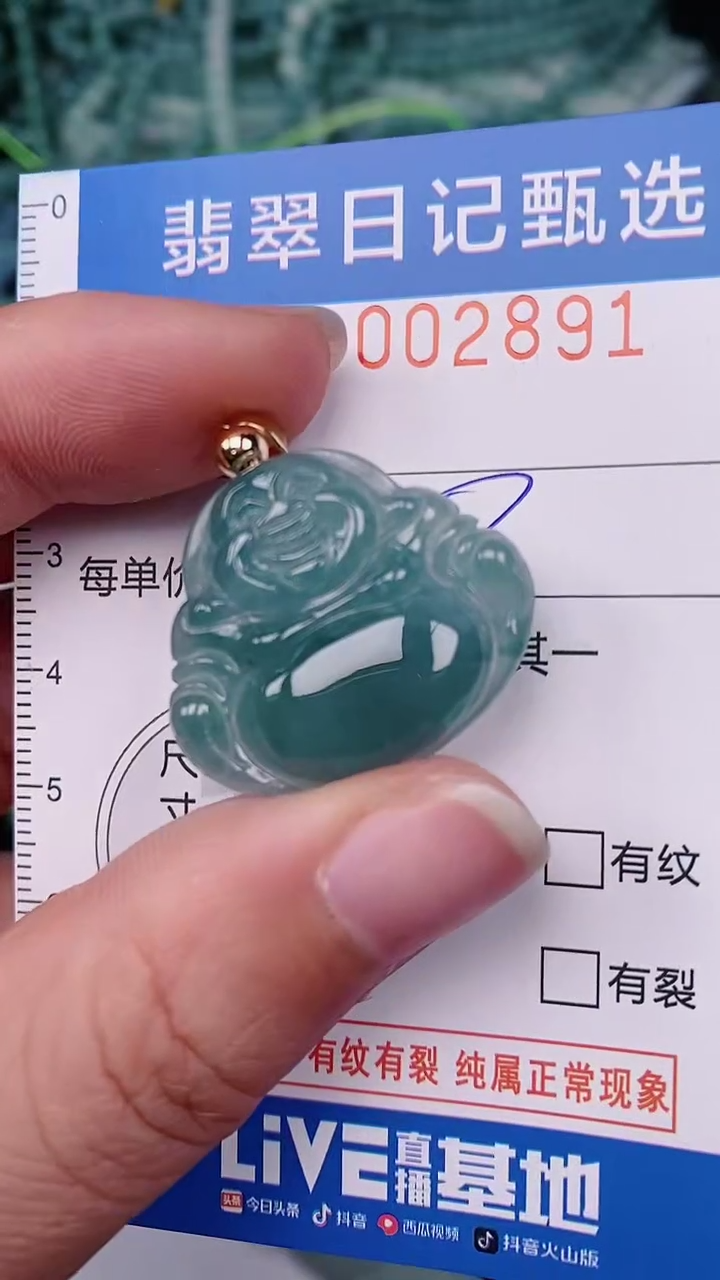 【闪购商品】翡翠颈饰未镶嵌00002891