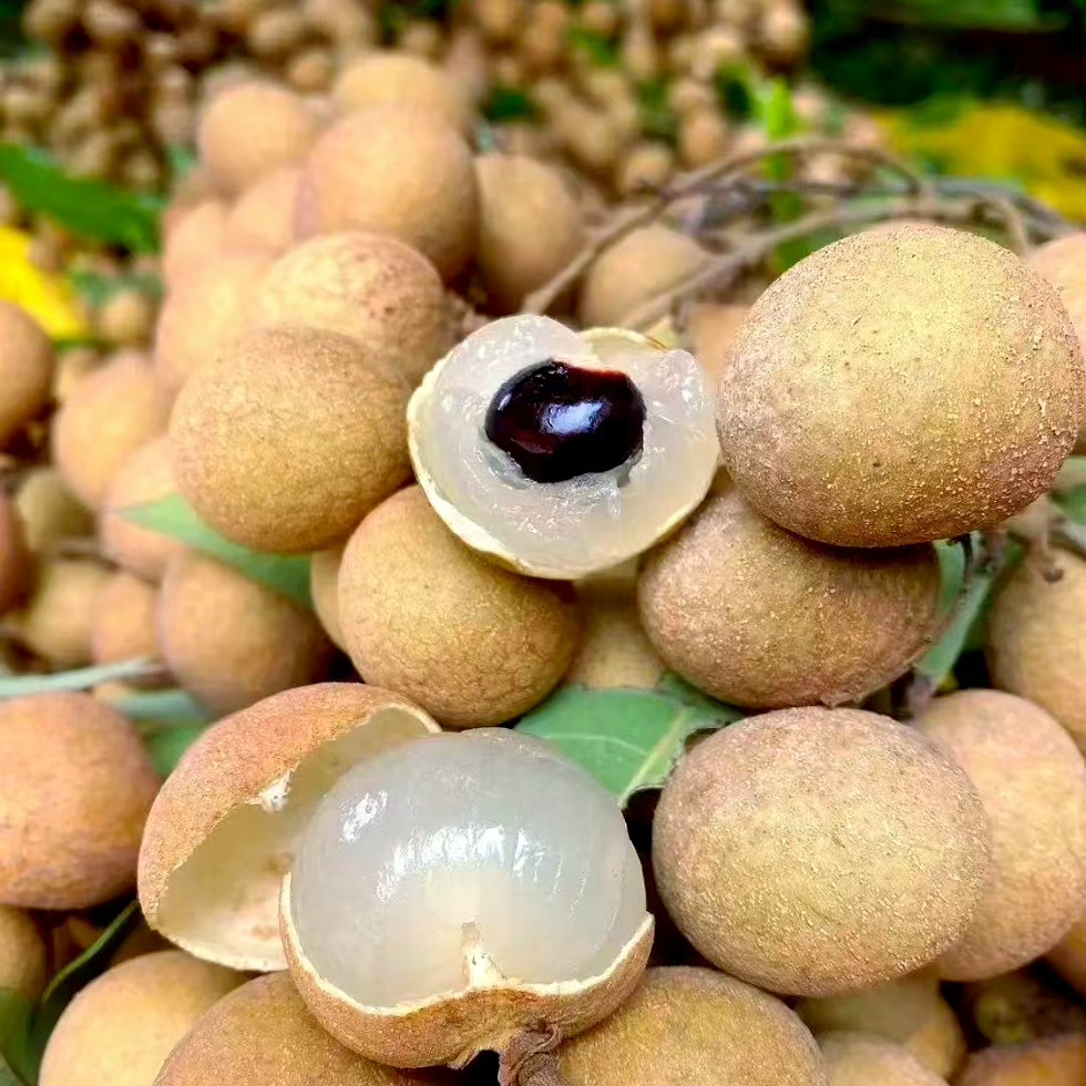 2斤【泰国龙眼】清甜多汁，果肉爽脆，果肉厚实