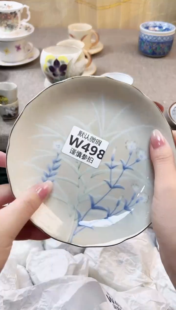瓷片L*  498       