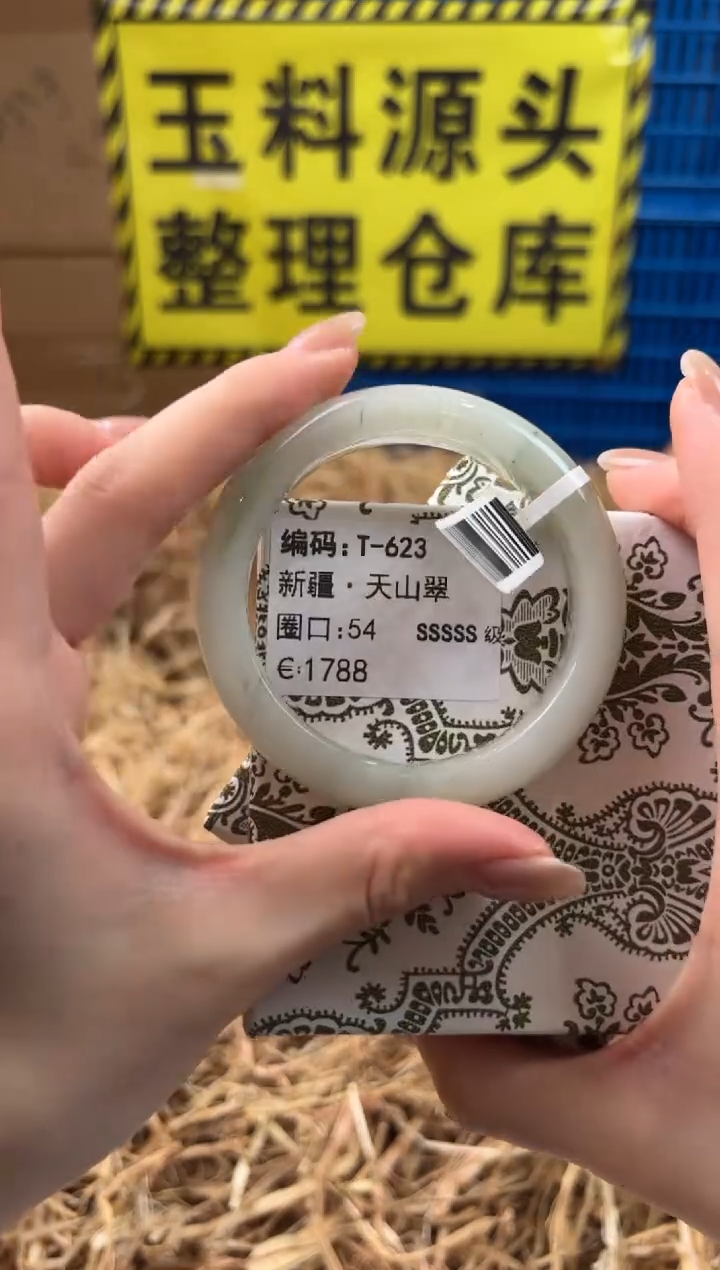 未镶嵌手镯石英质玉T-623