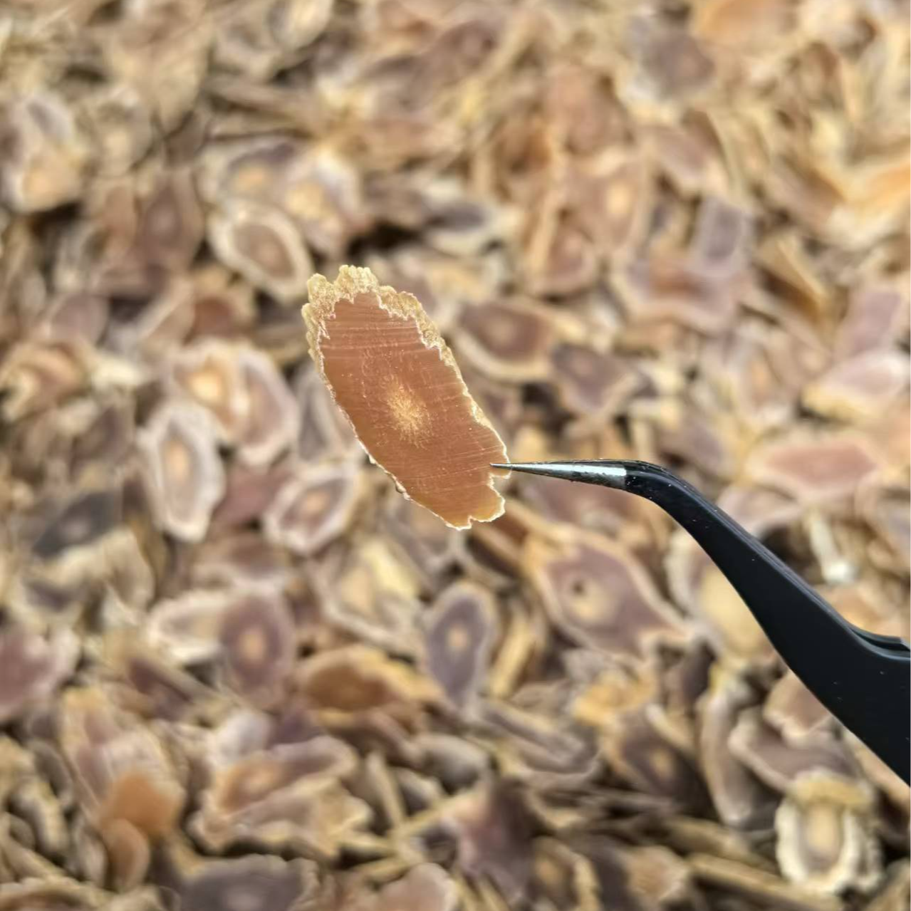 正宗高丽参片50克/瓶