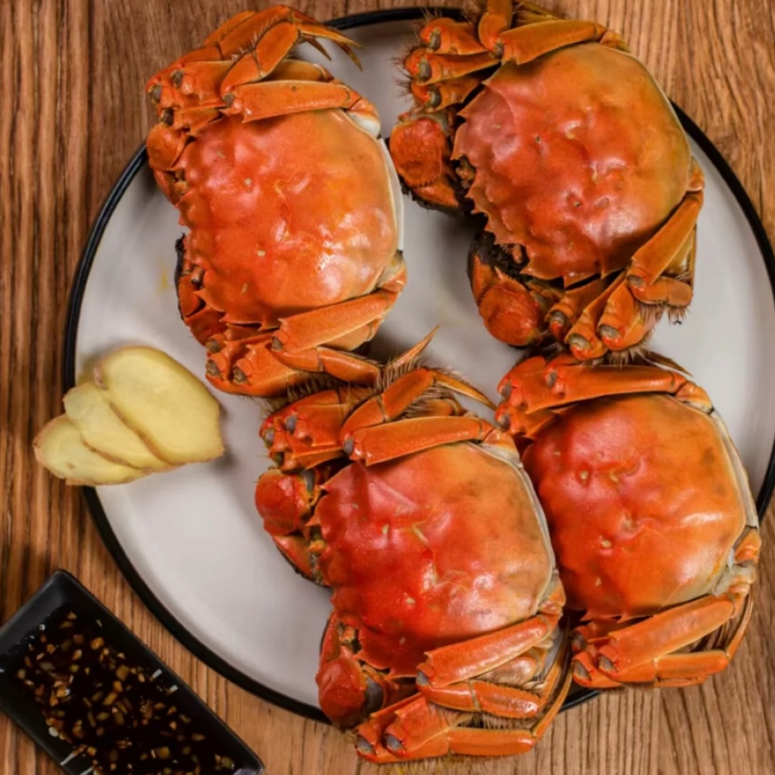 活蟹盘锦河蟹1.8-2.0两母蟹（8/10/15/20只 ）不支持退换货