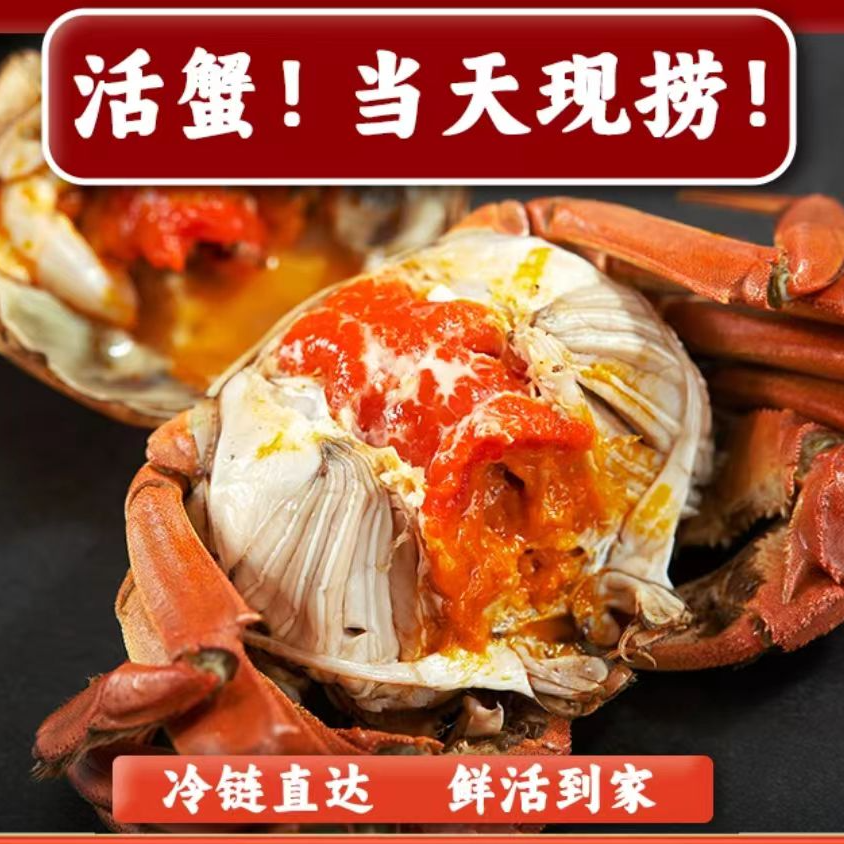 江苏河蟹【活蟹】全母（2.0-1.7）两 买8只送2只 共10只 顺丰冷链包邮