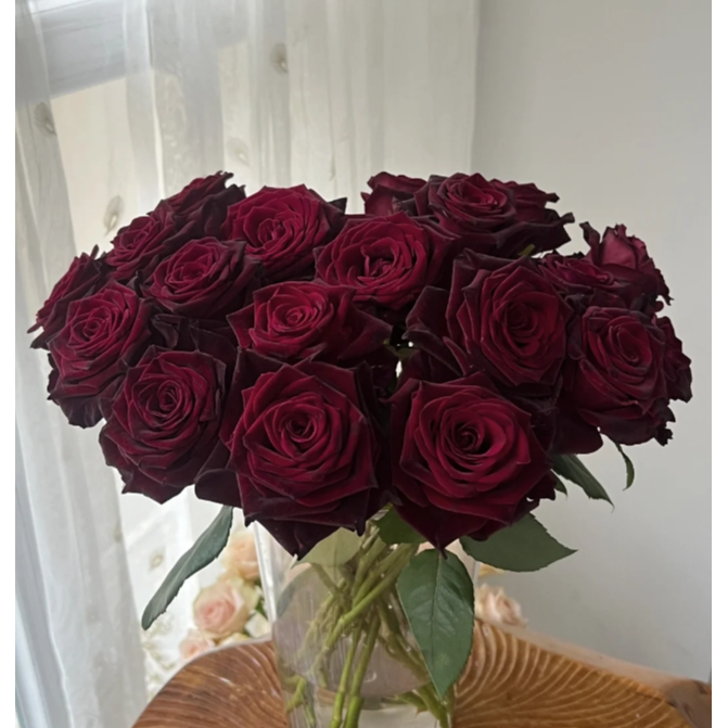 【小花】黑巴克玫瑰20支 （其中5支损耗不赔付）介意勿拍