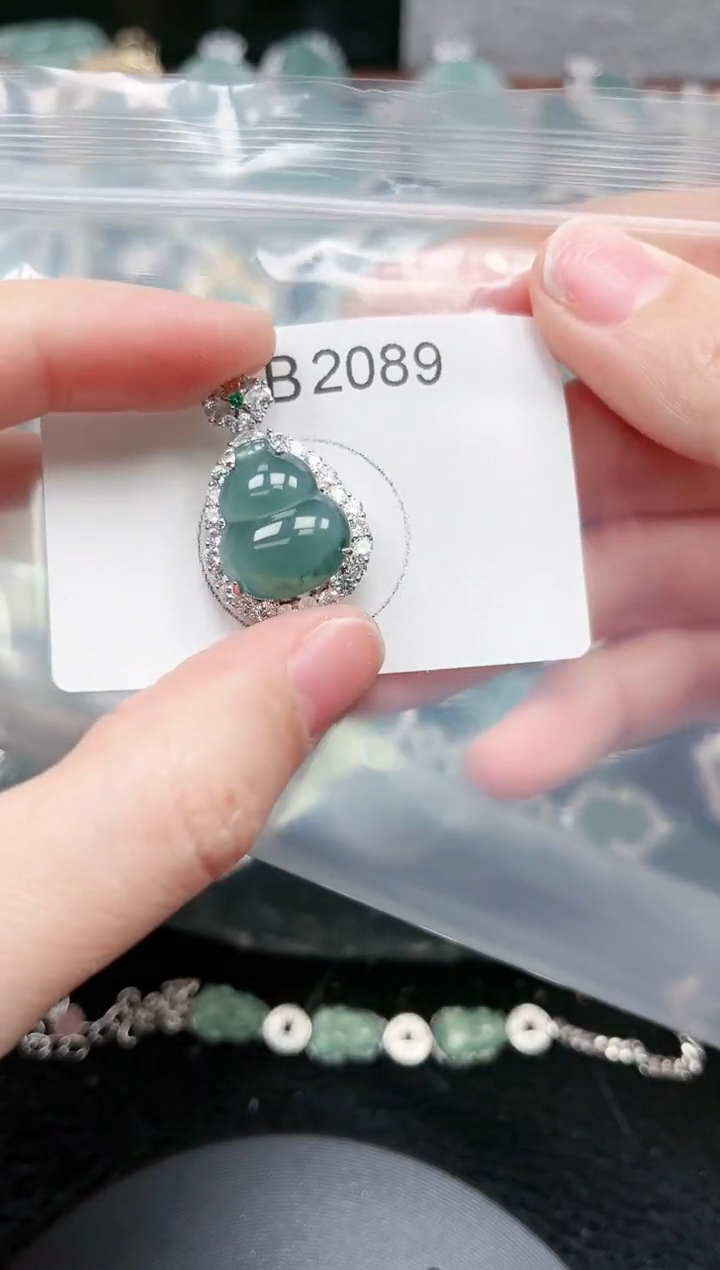 【闪购商品】翡翠颈饰未镶嵌赠皮绳2089