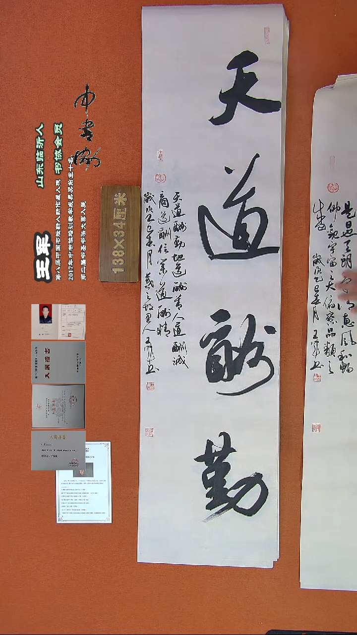 【闪购商品】书法138王军书法作品