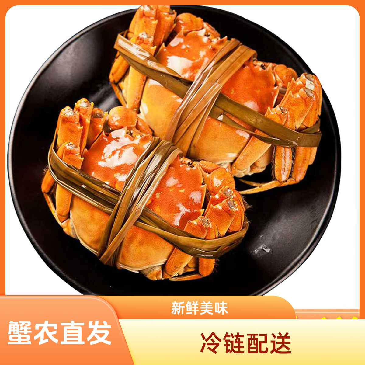 【活蟹】江苏大闸蟹 公蟹4.0-3.7两 母蟹3.0-2.7两 8只送2只 京东顺丰冷链