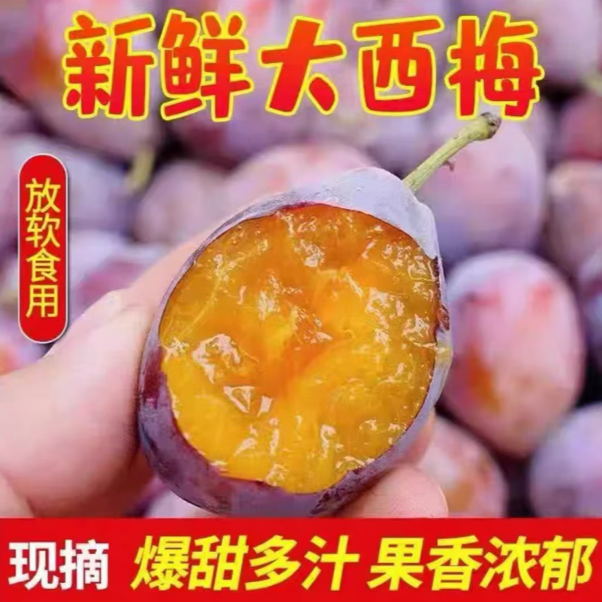 D1【顺丰次日达】新鲜现摘西梅放软后吃香甜多汁当季水果产地直采陕西省