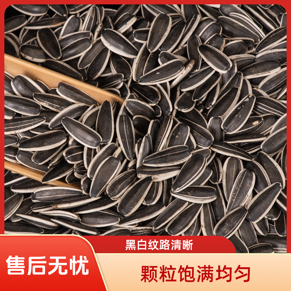 内蒙古原味大颗粒熟葵瓜子新鲜现炒追剧充饥零食