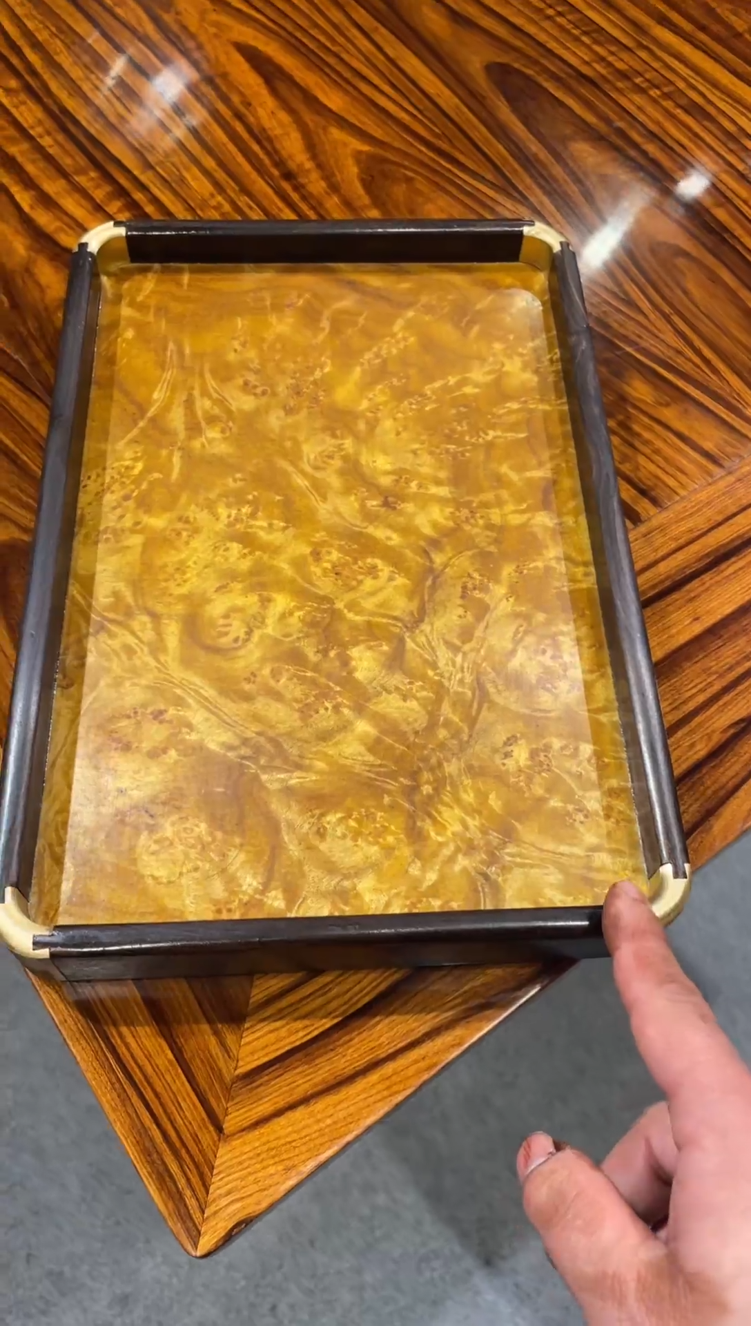 金丝楠6666666666666666