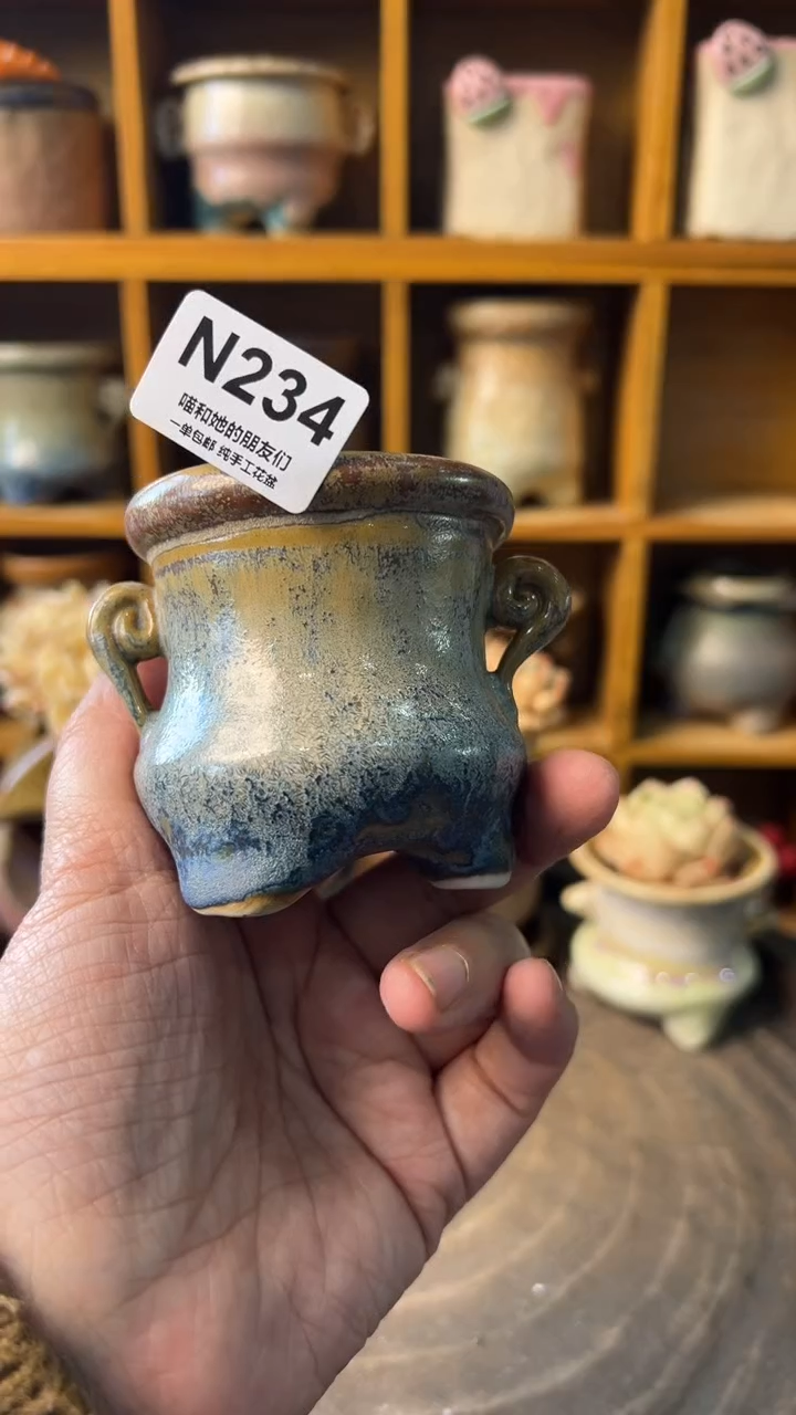 234 内口5【多肉花盆多肉盆】