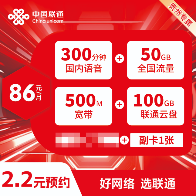 【黔西南联通】86米智家安装融合宽带套餐/500M宽带/1主美国1副流量