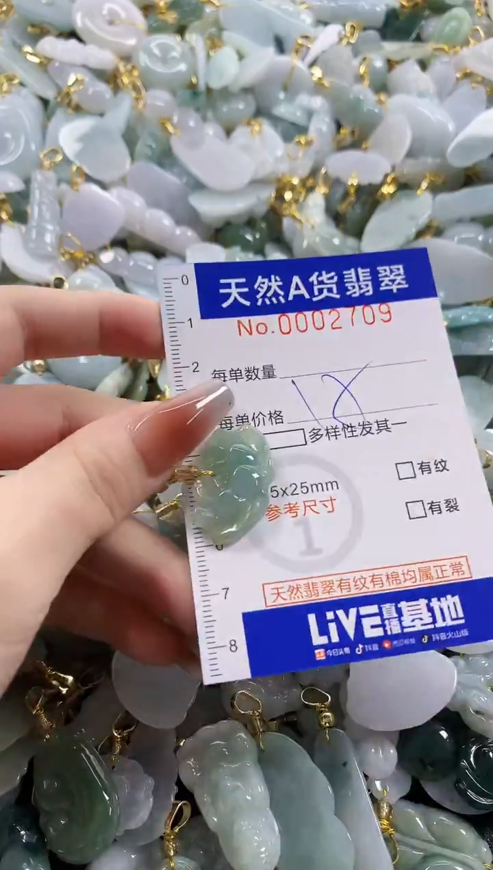 颈饰未镶嵌翡翠天然A货翡翠