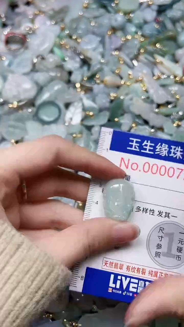 【闪购商品】翡翠颈饰未镶嵌闪购00000725