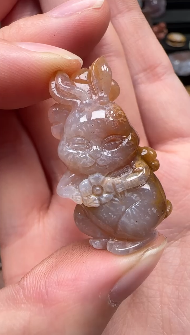 颈饰未镶嵌硅化珊瑚（珊瑚玉）625