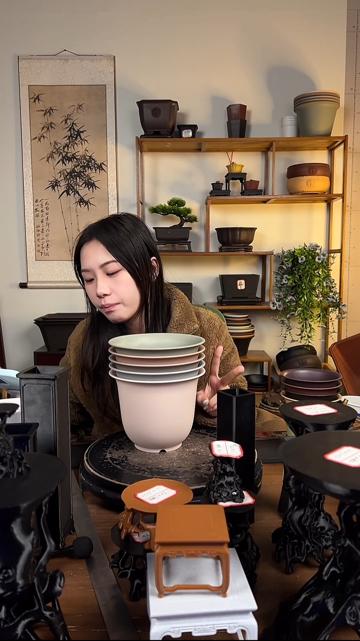 5只18口径金钟马卡龙色系