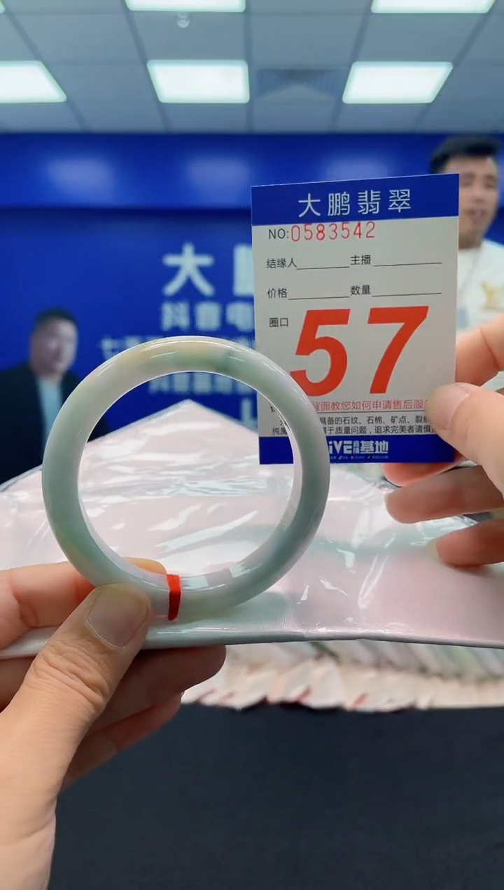 未镶嵌手镯翡翠AAAAAAAAA