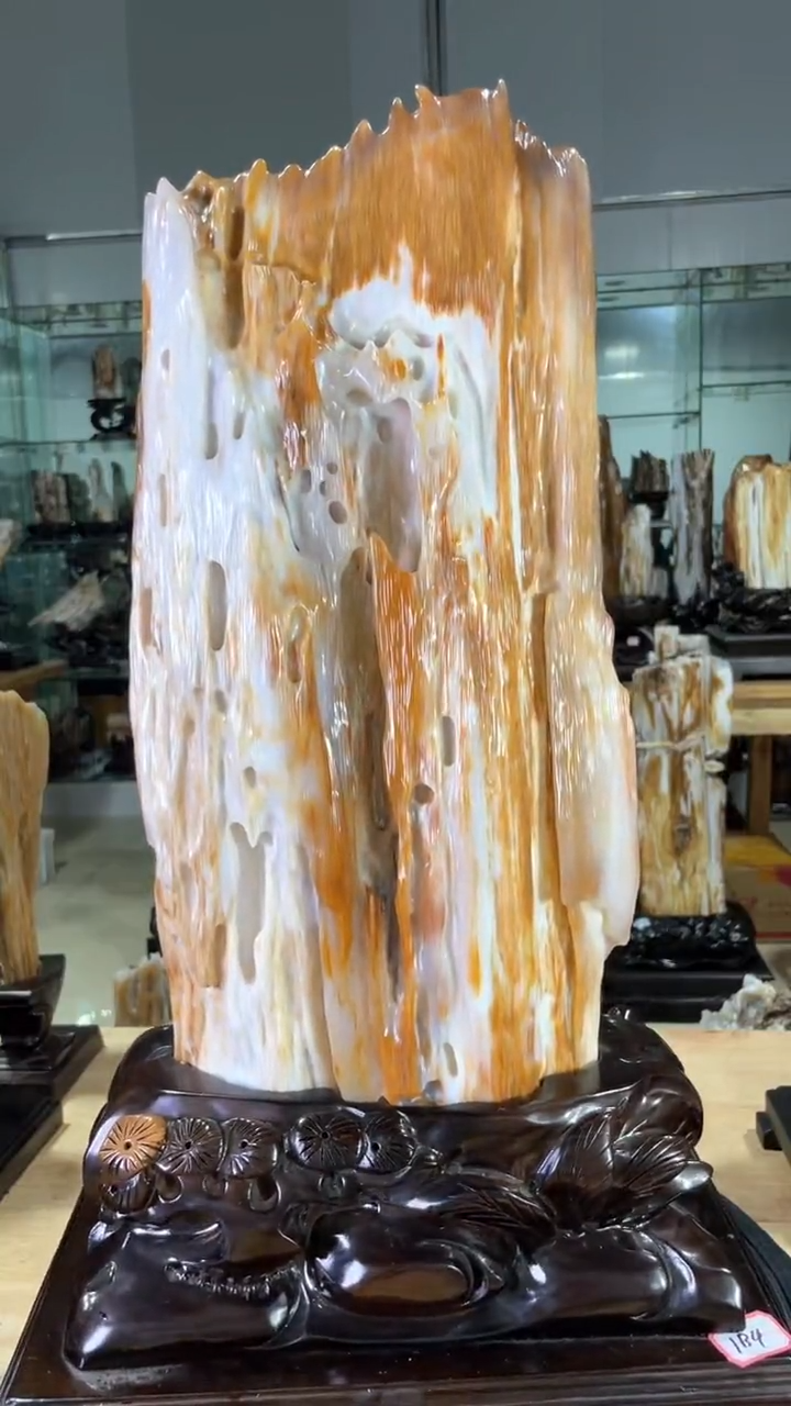 【闪购商品】硅化玉珠宝奇石未镶嵌2180