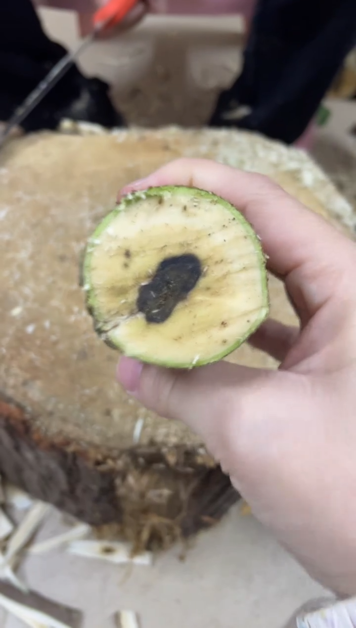 【闪购商品】沉香木沉香碎屑棋楠沉香 原料文创1