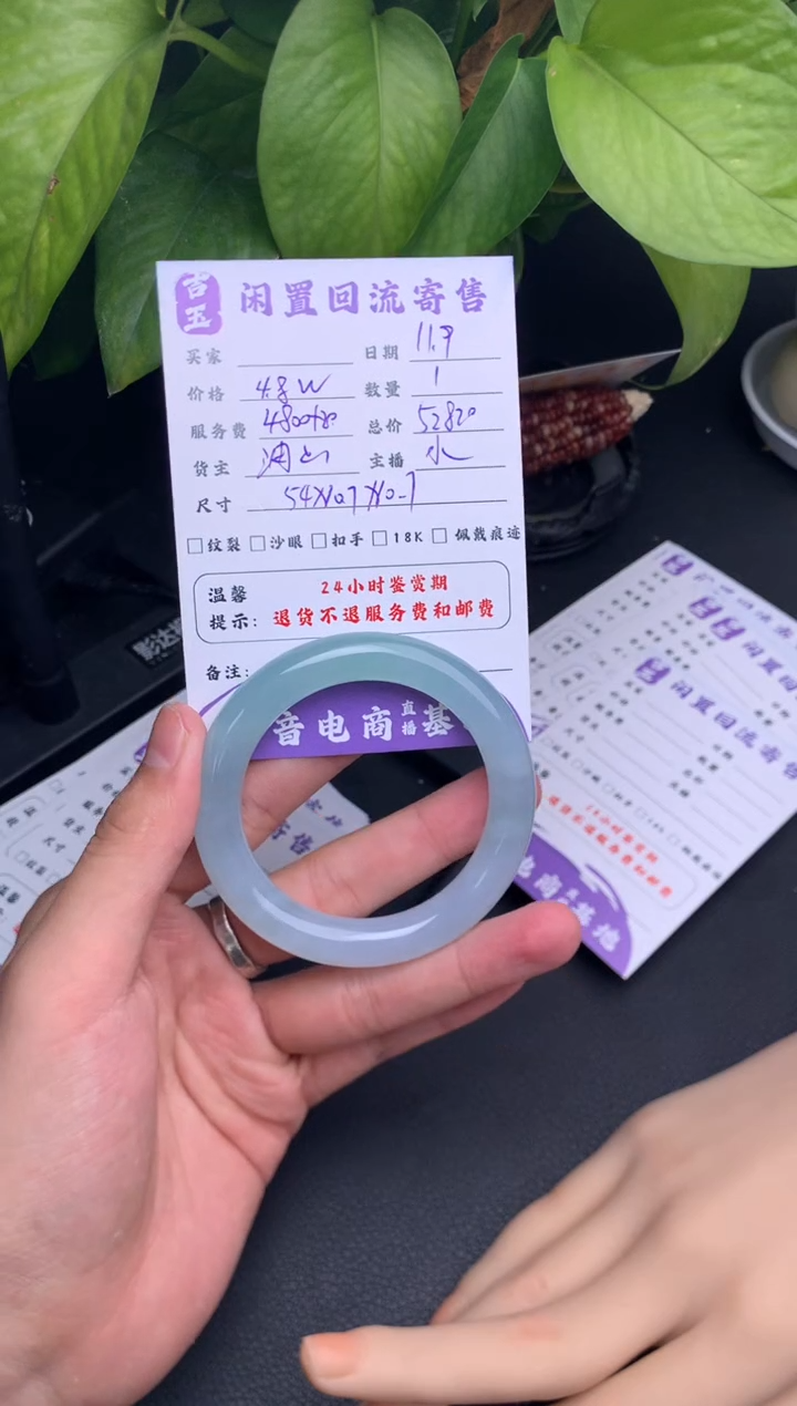 未镶嵌手镯翡翠手镯