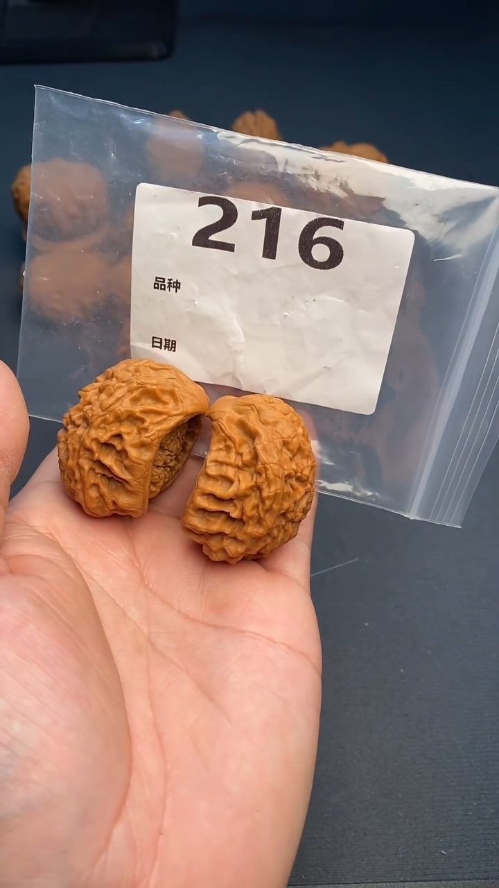 【闪购商品】文玩核桃吊坠216号41尺寸官帽蛇头