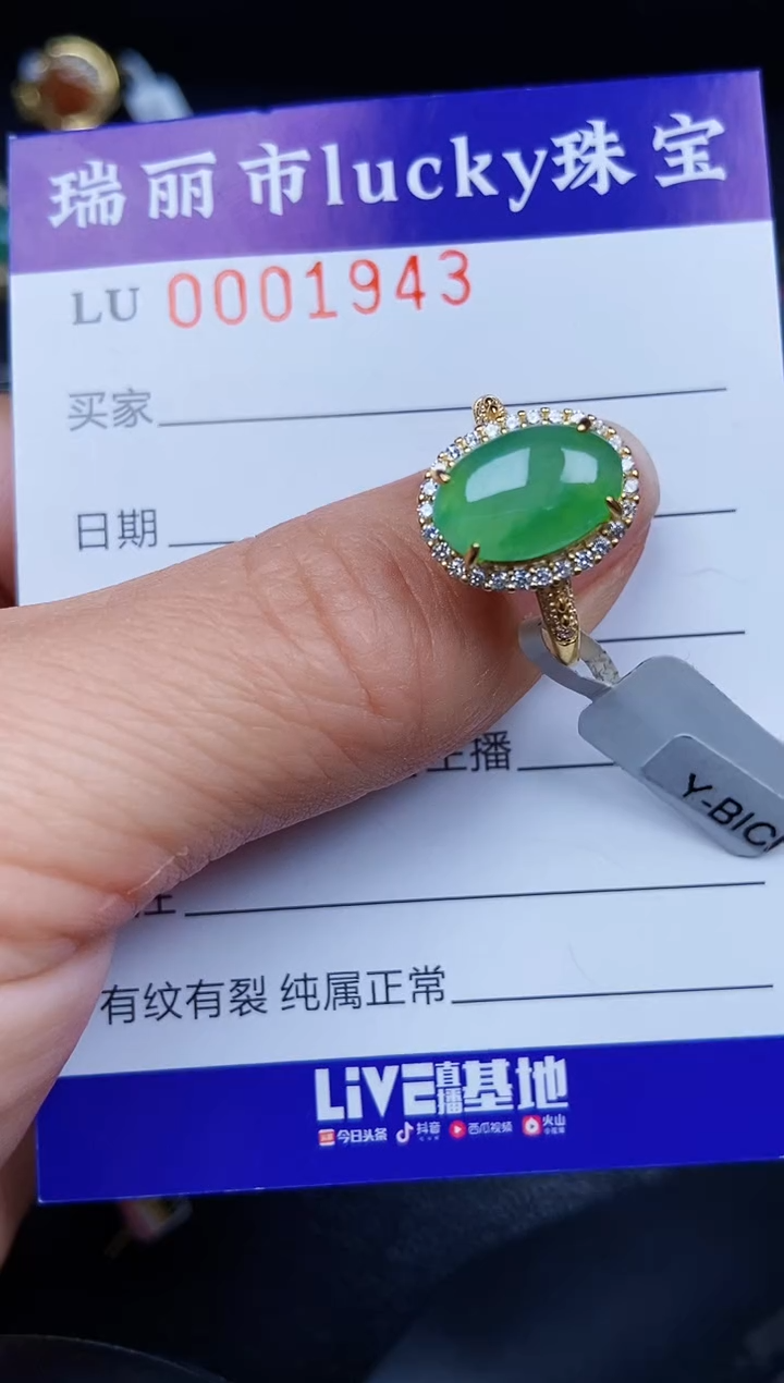 翡翠银S925镶嵌颈饰1943