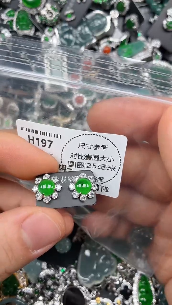 颈饰未镶嵌翡翠H197耳钉