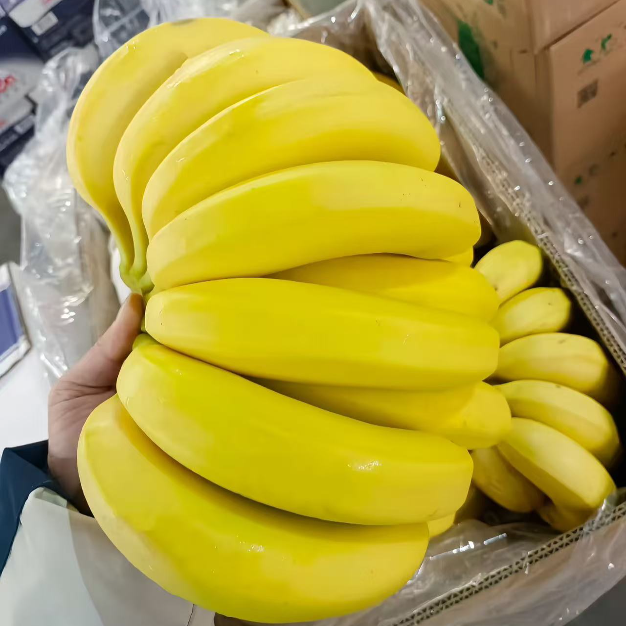 香蕉：软糯香蕉一把15根左右