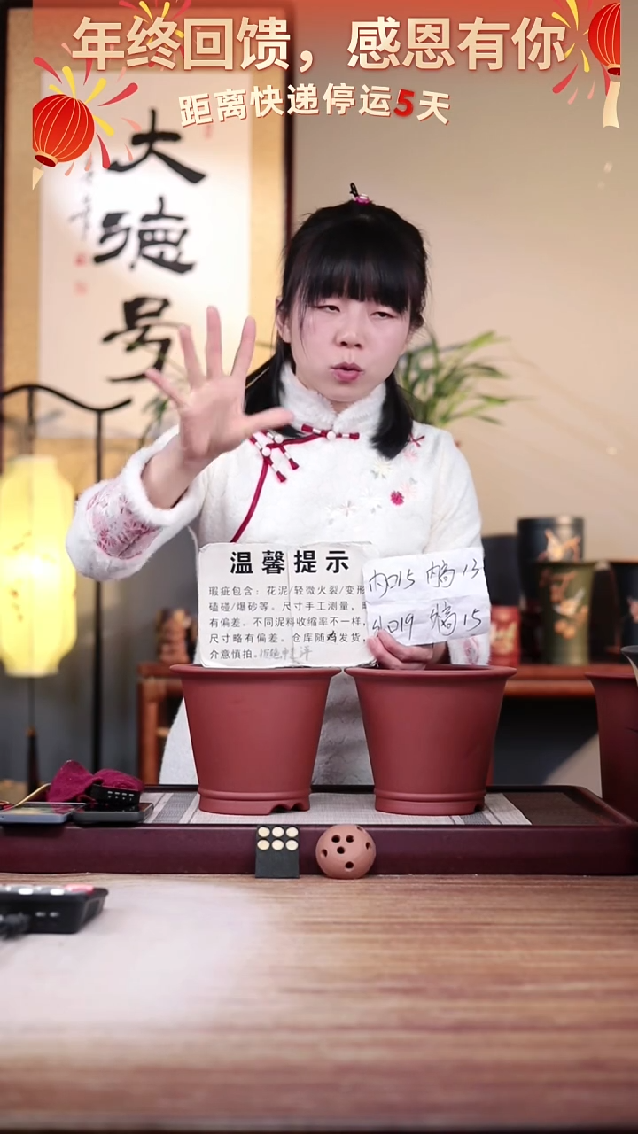 【闪购商品】紫砂花盆瑕疵清水泥圆斗笠一对无托